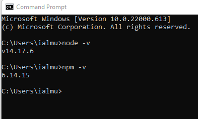 Checking the installed Node.js and npm versions.