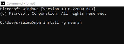 Installing Newman globally with npm.